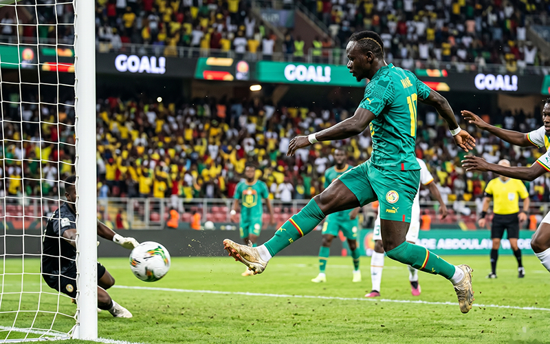 The Lions of Teranga:  Reflections of a Golden Generation