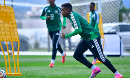 Scouting Czechia: What South Africans Need to Know Before Tomorrow’s Showdown