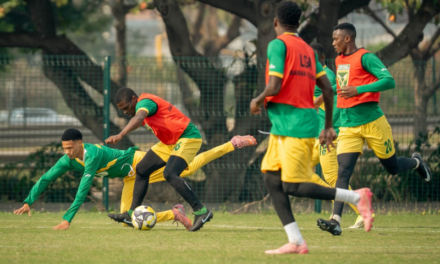 Golden Arrows vs Chippa United: Can Arrows Turn Last Season’s Progress Into an Opening Day Statement?